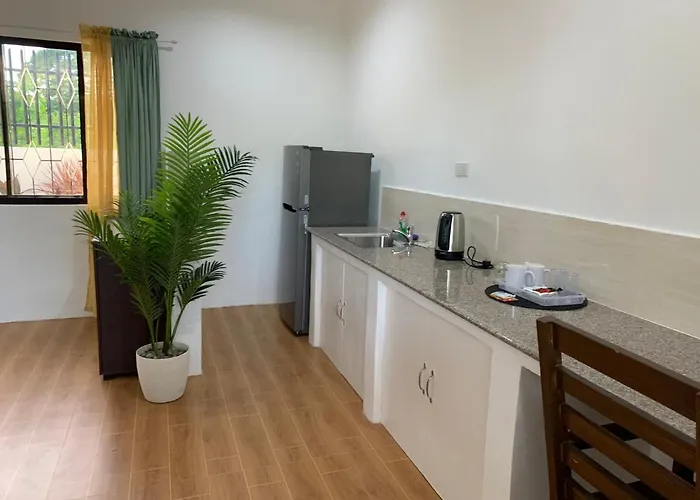Palm Tree 3*